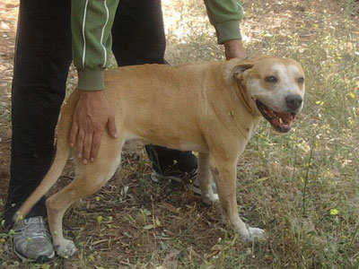 Ψάχνει κι αυτός σπίτι